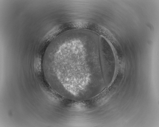 X0000115060696200911161609