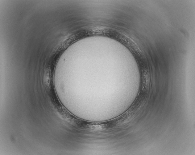 X0000115060698200911161609