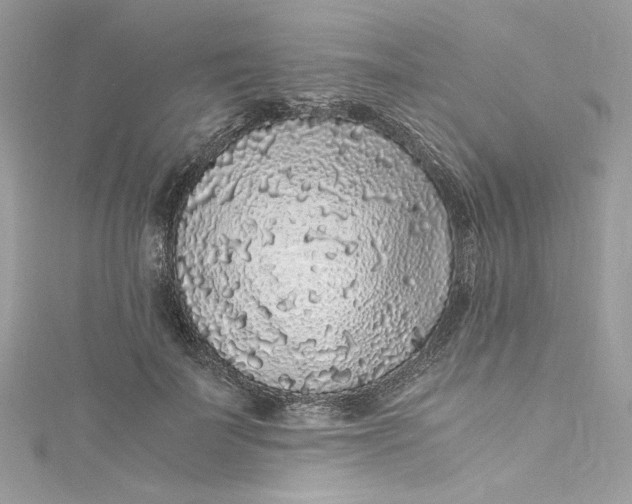 X0000115060699200911161609