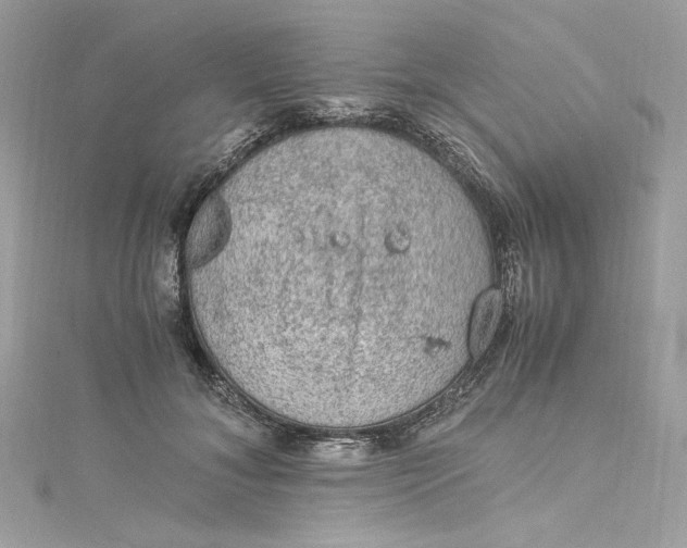 X0000115060700200911161609