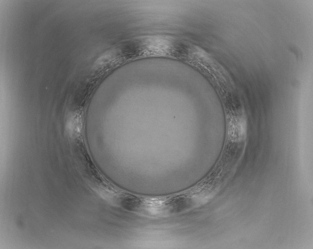 X0000115060701200911161609