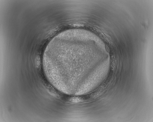 X0000115060704200911161609