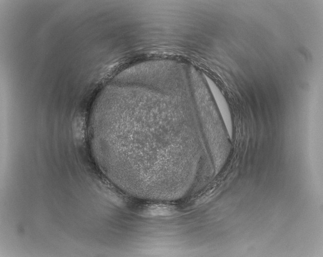 X0000115060708200911161609