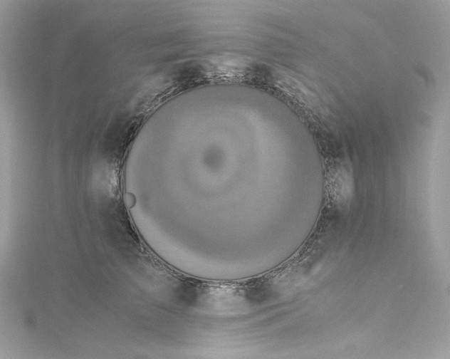 X0000115060709200911161609