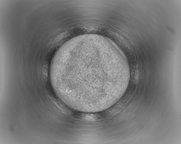 X0000115060710200911161609