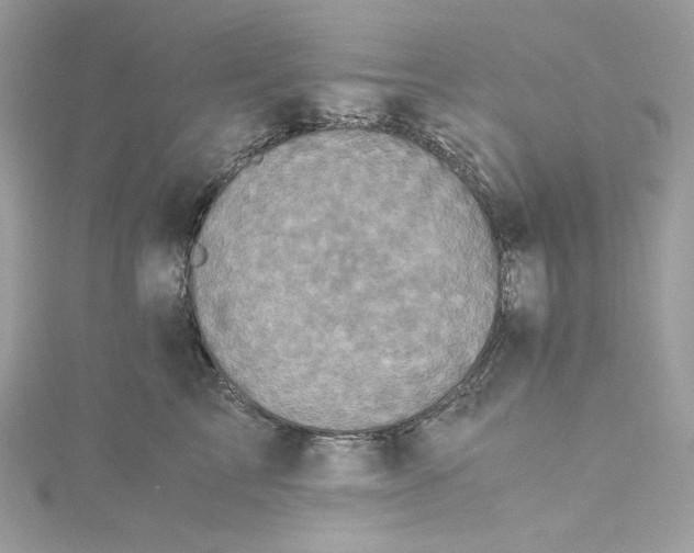 X0000115060713200911161609