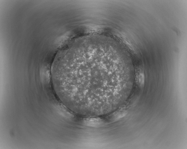 X0000115060716200911161609