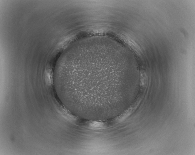 X0000115060718200911161609