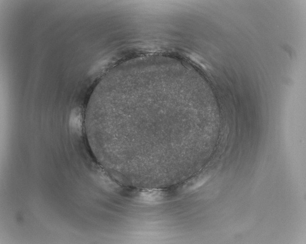 X0000115060720200911161609