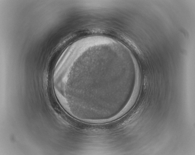 X0000115060722200911161608