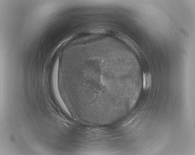 X0000115060723200911161608