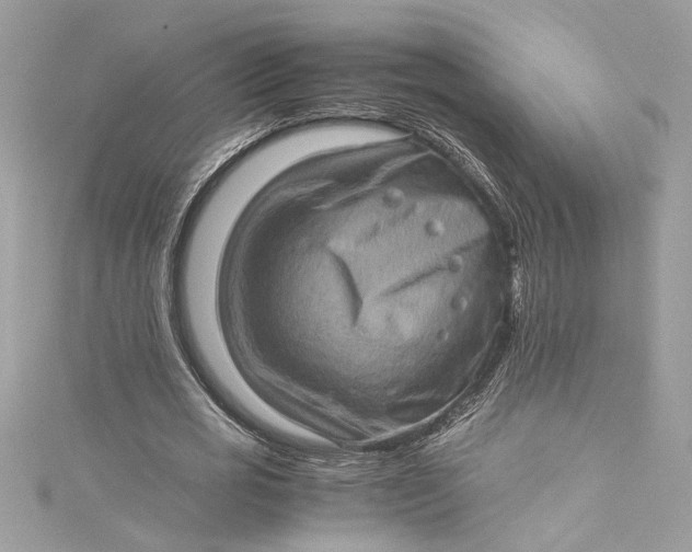 X0000115060725200911161608