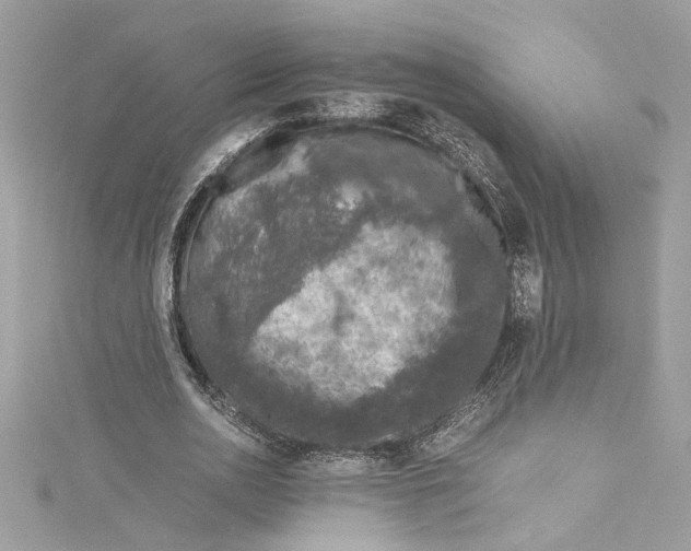 X0000115060726200911161608