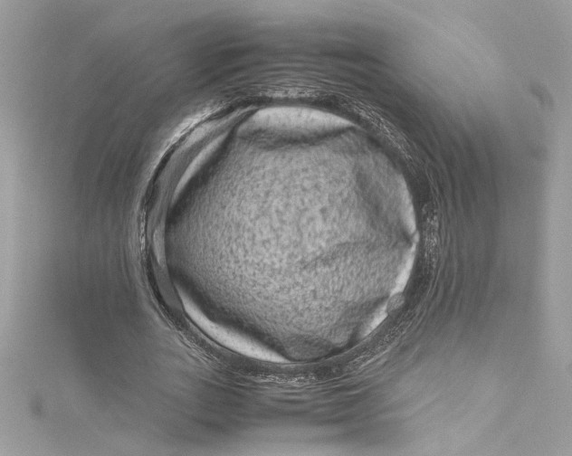 X0000115060727200911161608