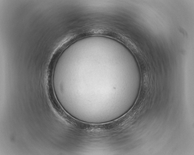 X0000115060730200911161608