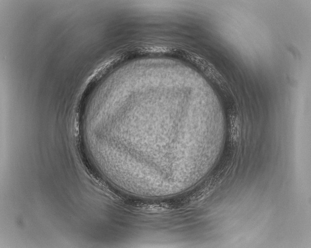 X0000115060731200911161608