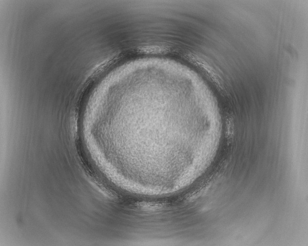 X0000115060733200911161608