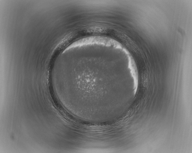 X0000115060735200911161608