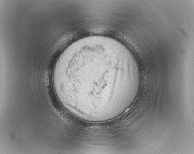 X0000115060738200911161608