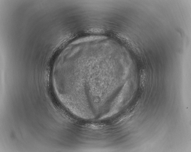 X0000115060739200911161608