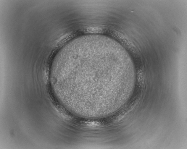 X0000115060741200911161608