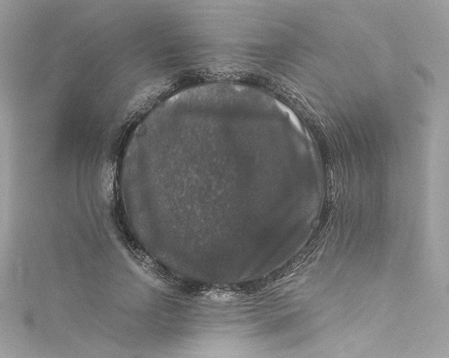 X0000115060742200911161608