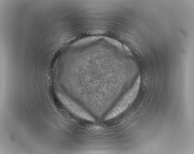 X0000115060743200911161608