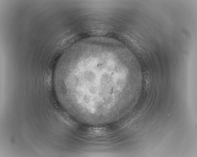 X0000115060745200911161608