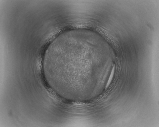 X0000115060746200911161608