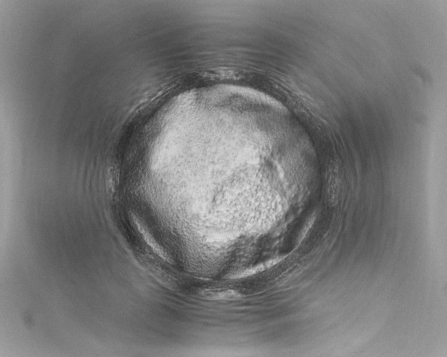 X0000115060747200911161608