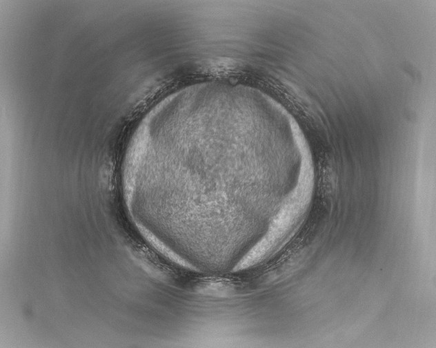 X0000115060750200911161608