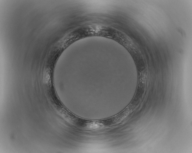 X0000115060754200911161608