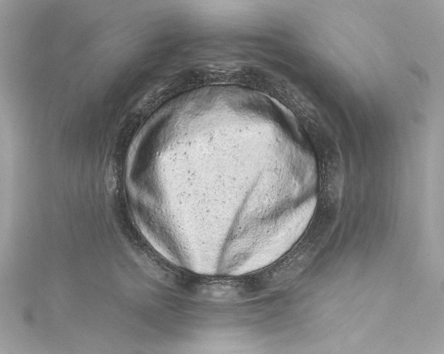 X0000115060758200911161608