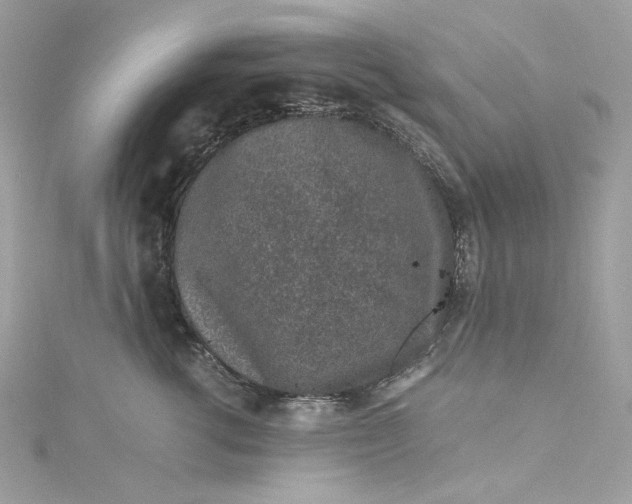 X0000115060762200911161608