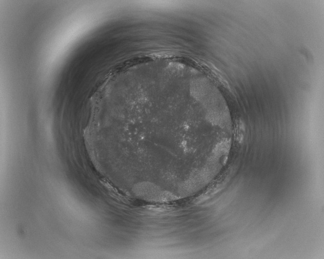 X0000115060763200911161608