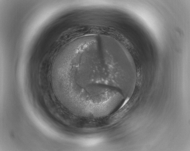 X0000115060765200911161608