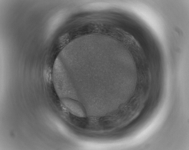 X0000115060766200911161608