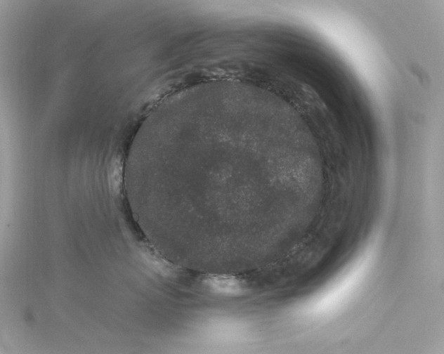 X0000115060767200911161608