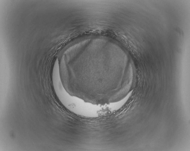 X0000115060769200911161608