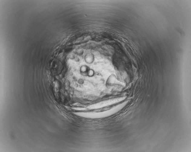 X0000115060772200911161608