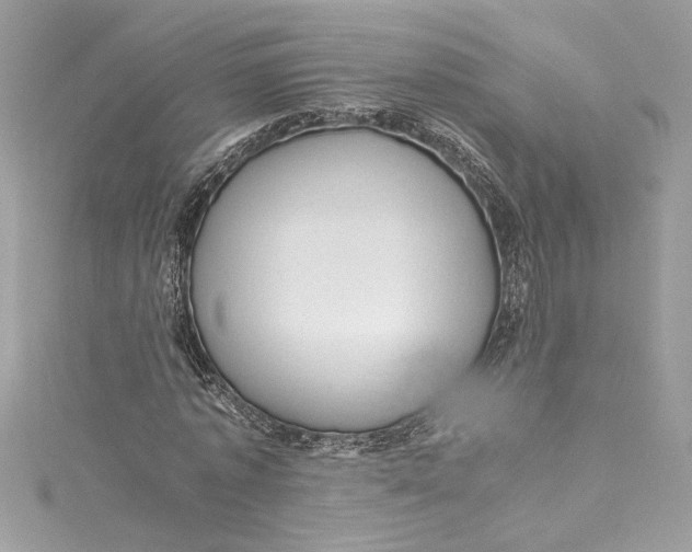 X0000115060773200911161608