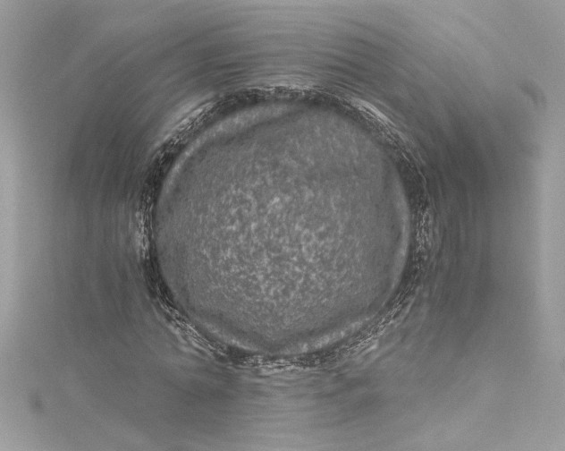 X0000115060774200911161608