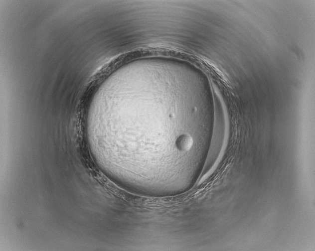 X0000115060776200911161608