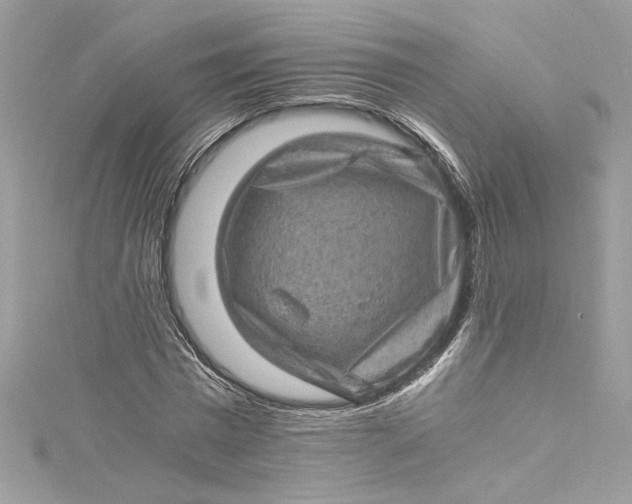 X0000115060777200911161608