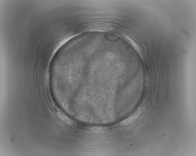 X0000115060779200911161608