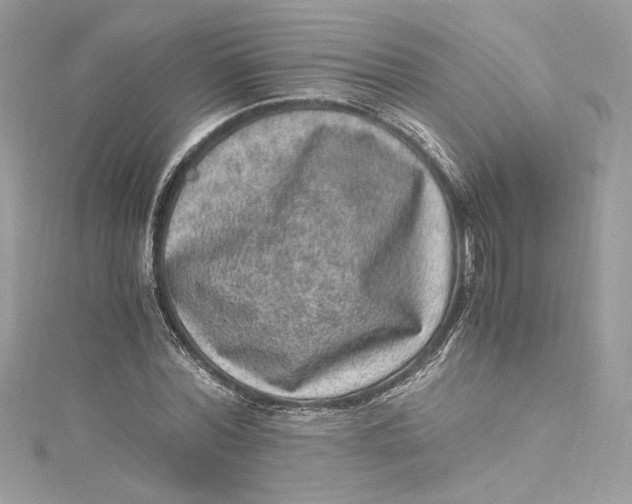 X0000115060780200911161608