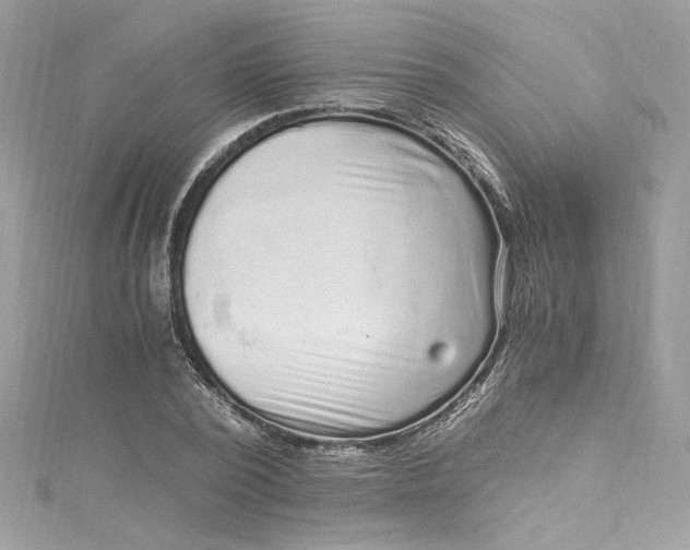 X0000115060784200911161608