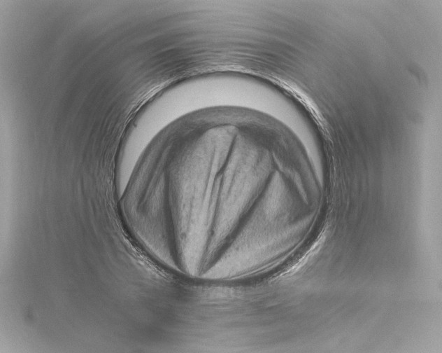 X0000115060785200911161608