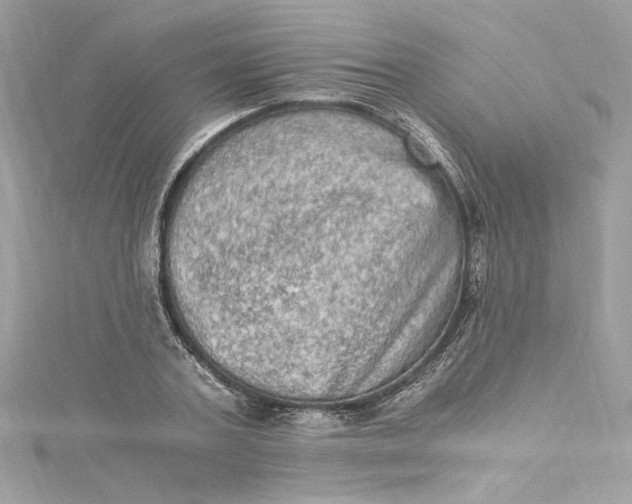 X0000115060787200911161608