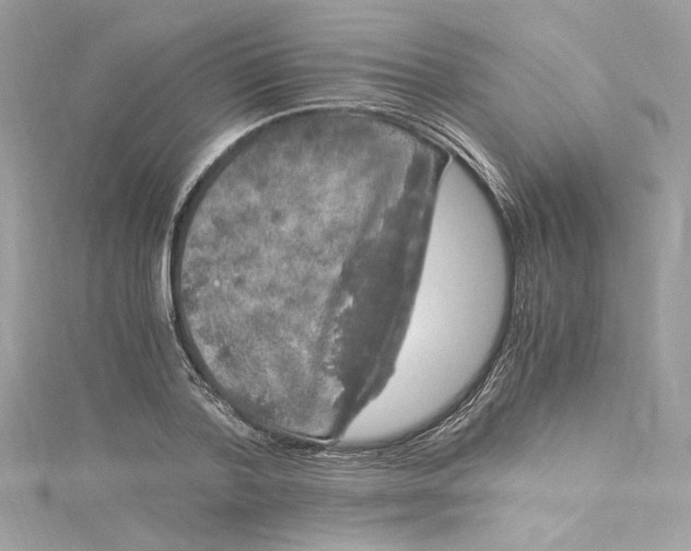 X0000115060788200911161608